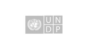 UNDP